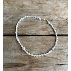 Ferdeskvandsperlehalsk